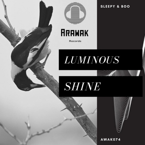 Sleepy & Boo - Luminous Shine [AWAK074]